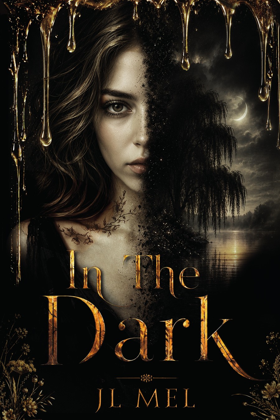 In the Dark by JL Mel — hardcover edition
